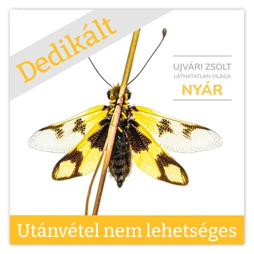 Ujvári Zsolt láthatatlan világa | NYÁR | Dedikált példány