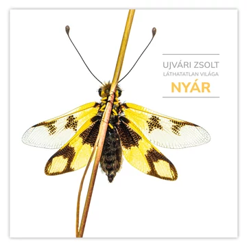 Ujvári Zsolt láthatatlan világa | NYÁR | 