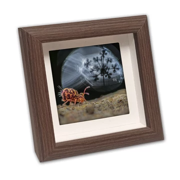 Mini képkeret, gesztenye