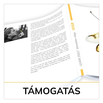Támogatás