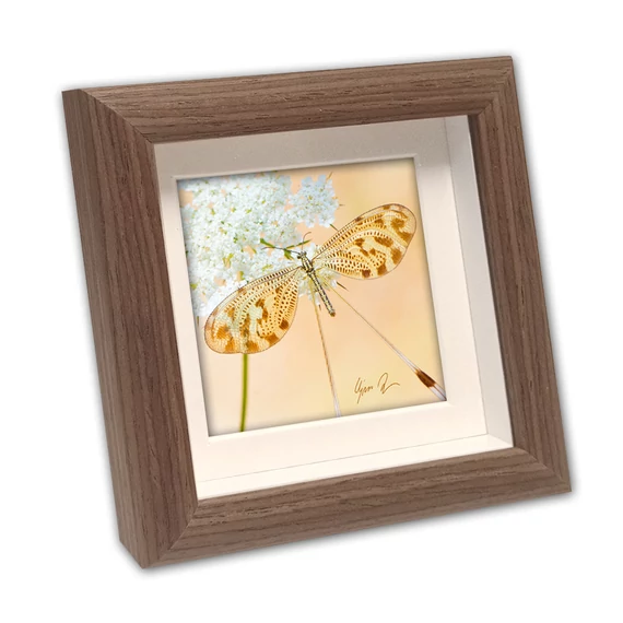 Mini képkeret, dió