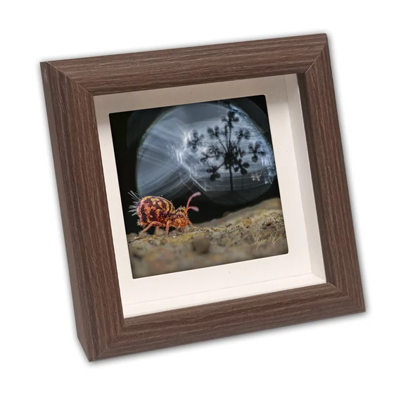 Mini képkeret, gesztenye