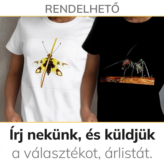 Női és férfi rövid ujjú, környakú pólók