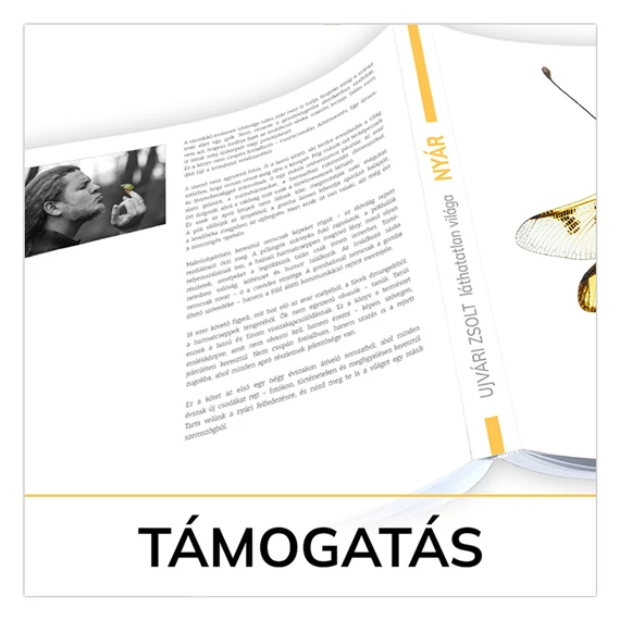 Támogatás